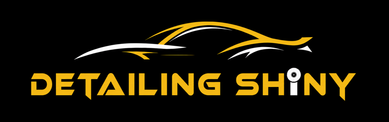 Detailing Shiny Logo